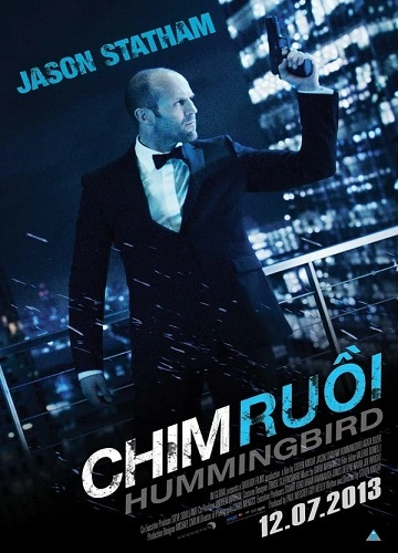 Chim Ruồi - Hummingbird