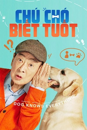 Chú Chó Biết Tuốt - Dog Knows Everything