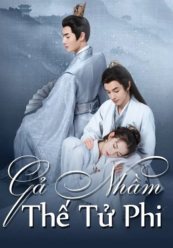 Gả Nhầm Thế Tử Phi - Destiny of Love