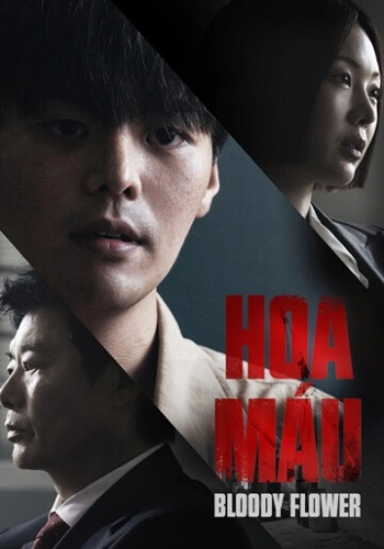 Hoa Máu