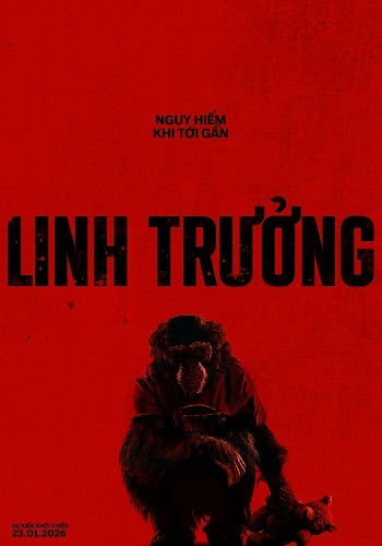 Linh Trưởng - Primate