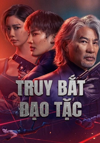 Truy Bắt Đạo Tặc - Never a Thief